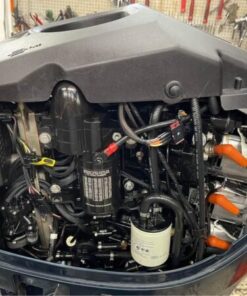 2010 Evinrude Etec 200 HP 2-Stroke 25” Shaft