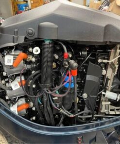 2011 Evinrude Etec 200 HP 2-Stroke 20