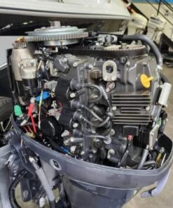 2016 Yamaha 20 HP 4-Stroke Tiller Outboard Motor