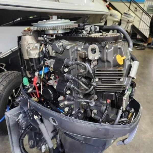 2016 Yamaha 20 HP 4-Stroke Tiller Outboard Motor