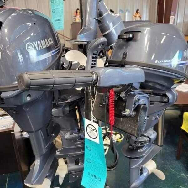 2016 Yamaha 20 HP 4-Stroke Tiller Outboard Motor