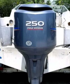 Twin 2006 Yamaha 250 HP 4-Stroke 25